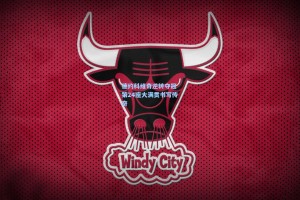 德约科维奇逆转夺冠 第24座大满贯书写传奇