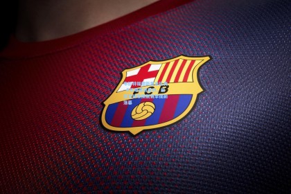 布伦特福德新星法比奥-卡瓦略遭遇重创，前交叉韧带撕裂赛季提前落幕