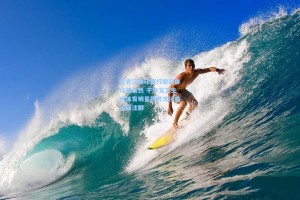 贝克汉姆印度行掀起体坛美食热 干净又卫生成体育明星跨界文化交流新注脚