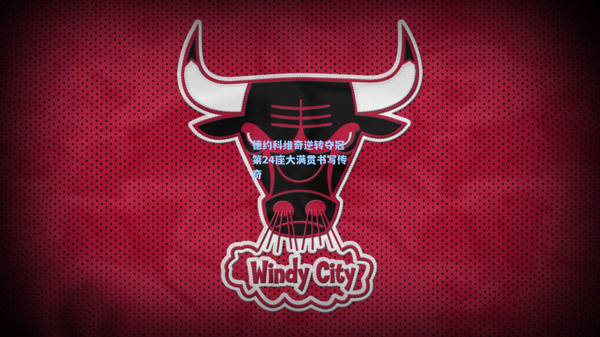 德约科维奇逆转夺冠 第24座大满贯书写传奇