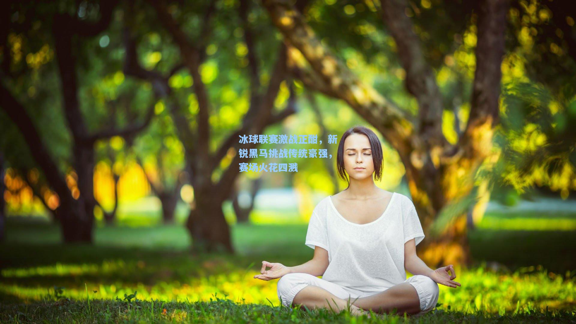 冰球联赛激战正酣，新锐黑马挑战传统豪强，赛场火花四溅